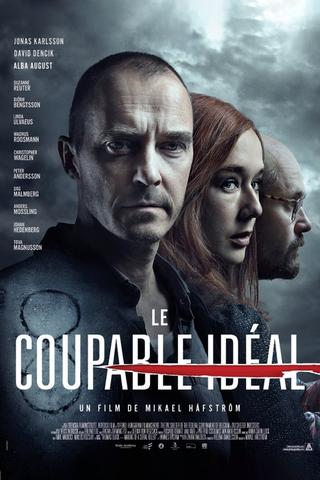 Le Coupable Idéal streaming VF